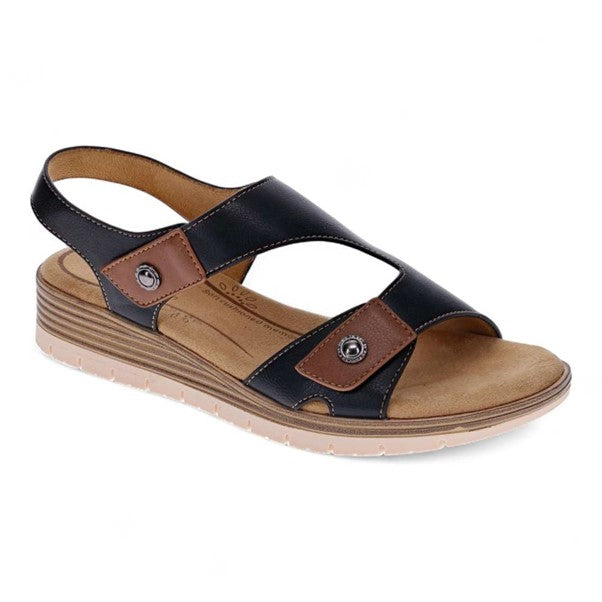 SCHOLL PAIGE
