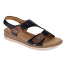 SCHOLL PAIGE