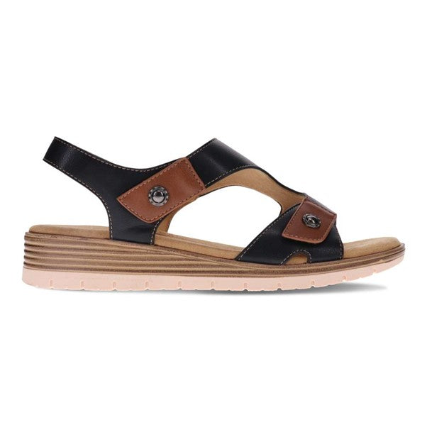SCHOLL PAIGE