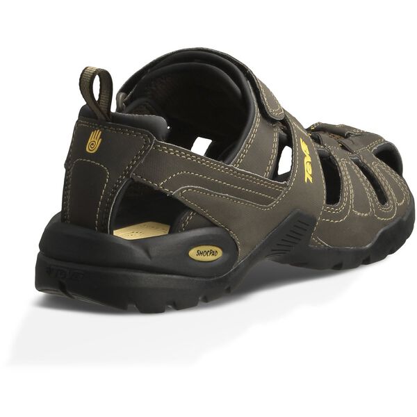 TEVA FOREBAY