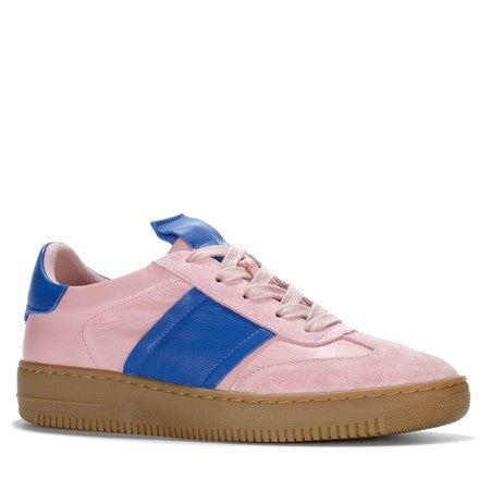GELATO OXEN